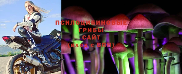 герыч Вязники