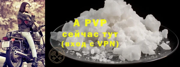 индика Пролетарск