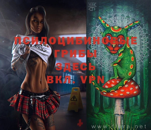 кокаин колумбия Вяземский