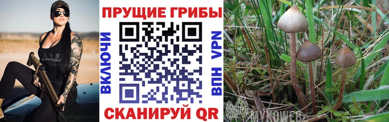 Псилоцибиновые грибы MAGIC MUSHROOMS  Дивногорск 